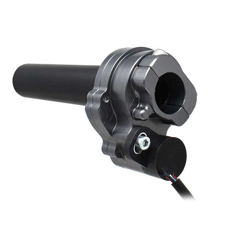 schnelle-gassteuerung-fuer-aprilia-tuono-rs-660 (2).jpg